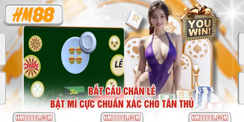 Bắt Cầu Chẵn Lẻ - Bật Mí Cực Chuẩn Xác Cho Tân Thủ